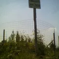 Tierra y Libertad