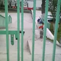 Reforma Agraria
