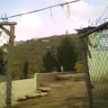 Netzahualcoyotl