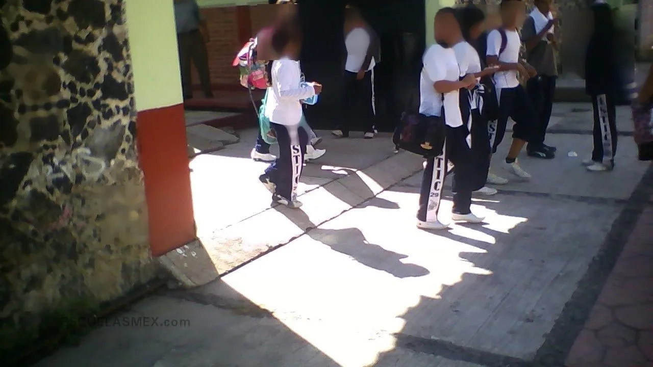 E.s.t.i.c. No 0029 "jose Ma. Morelos y Pavon" Entrada