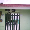 Oftv No 0216 "francisco Villa"