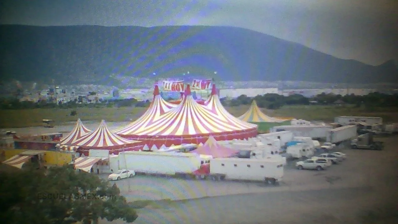 Circo Producciones Odisseis Entrada