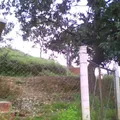 Cerro de Mazatepec