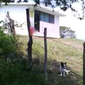 Puerto el Salitre