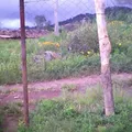 Mesa Real de Arriba