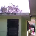Siguapila