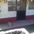 San Jose Tilostoc