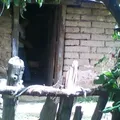 Barrio la Tina
