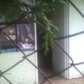 Colonia Beltran (barrio la Beltran)