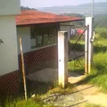 El Aguacate
