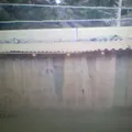 Los Pozos Pinal de Osorios