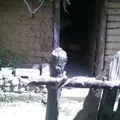 Barrio la Tina