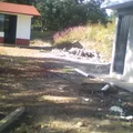 Rancheria los Madroños