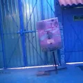 Jardin Infantil Niños Heroes