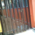 Colegio Carol Baur