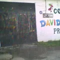 David Ausubel