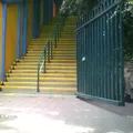 Colegio Springfield