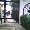 Colegio los Fresnos A. C.
