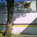 Colegio Segismundo Freud