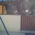 Colegio Simon Bolivar