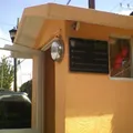 Primaria Inedib