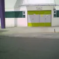 Colegio Ateneo Mexicano