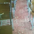 Colegio Angel Matute Vidal