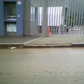 Colegio David Weikart