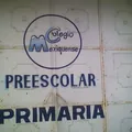 Colegio Mexiquense