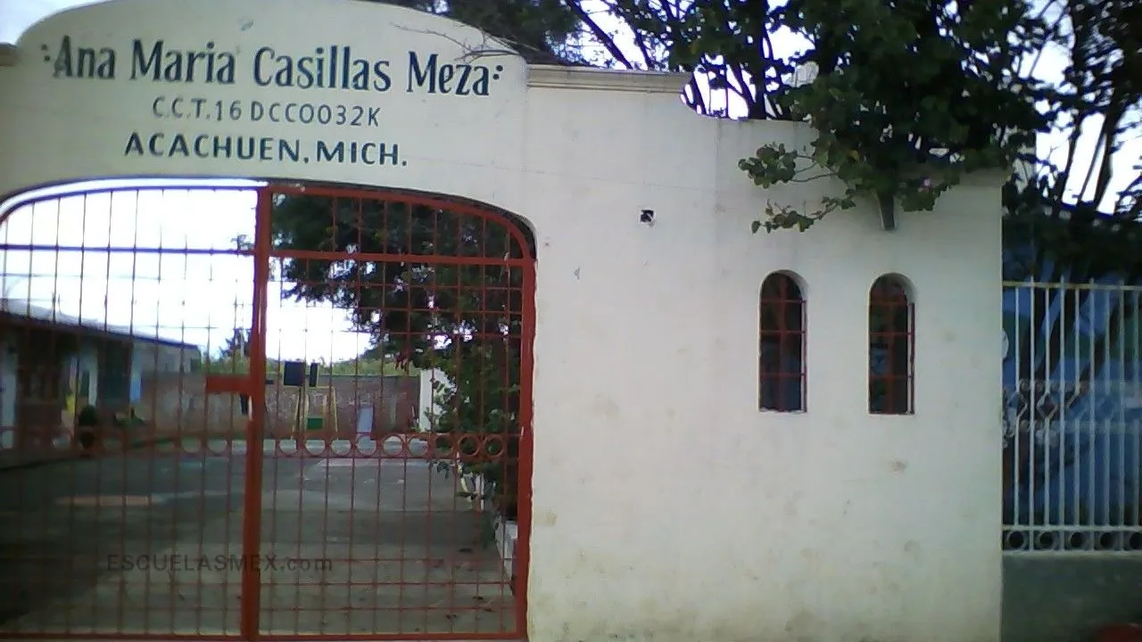 Ana Maria Casillas Meza Entrada