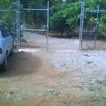 Carlos A Carrillo
