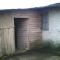 Tsitsiki Urapiti