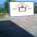 Constitucion
