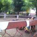 Gabino Barreda