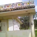Enrique Gonzalez Martinez