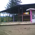 Silvestre Revueltas