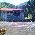 Ing. Javier Barros Sierra