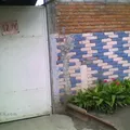 Canacua