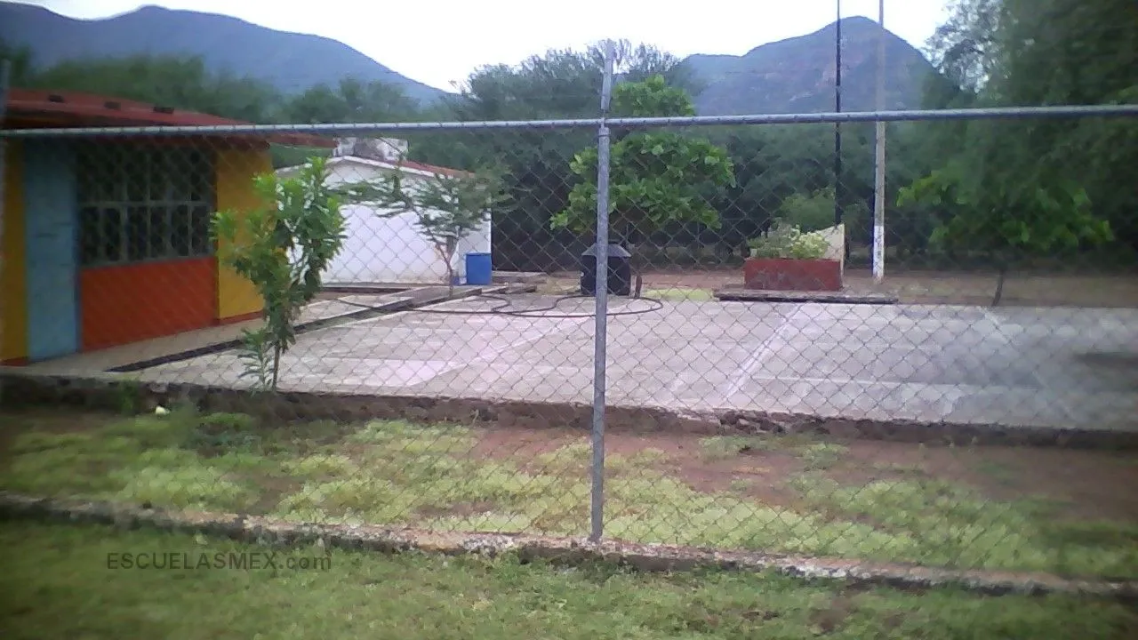 Jose Vasconcelos Entrada