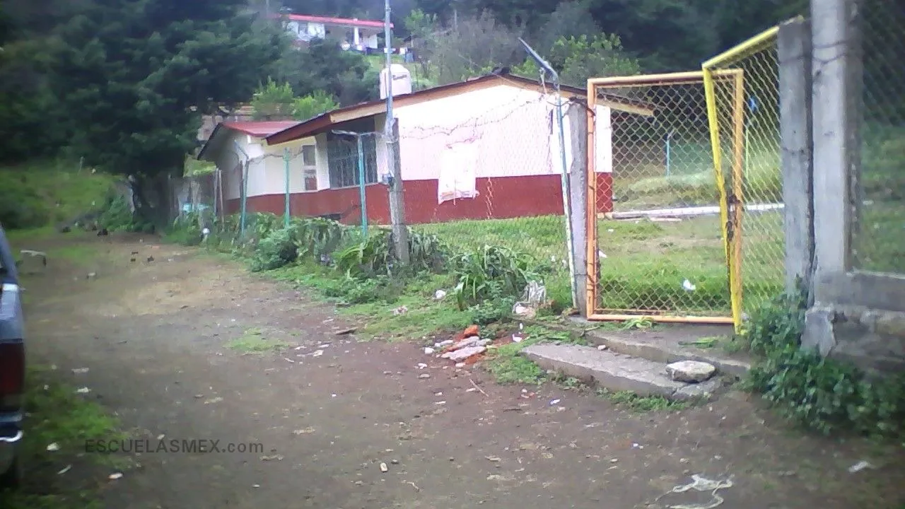 Vicente Guerrero Entrada