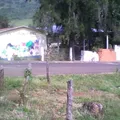 Niños Heroes