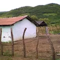 Vicente Riva Palacio