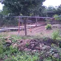 Ricardo Flores Magon