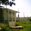 Miguel Carrillo Ayala