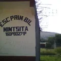 Mintzita