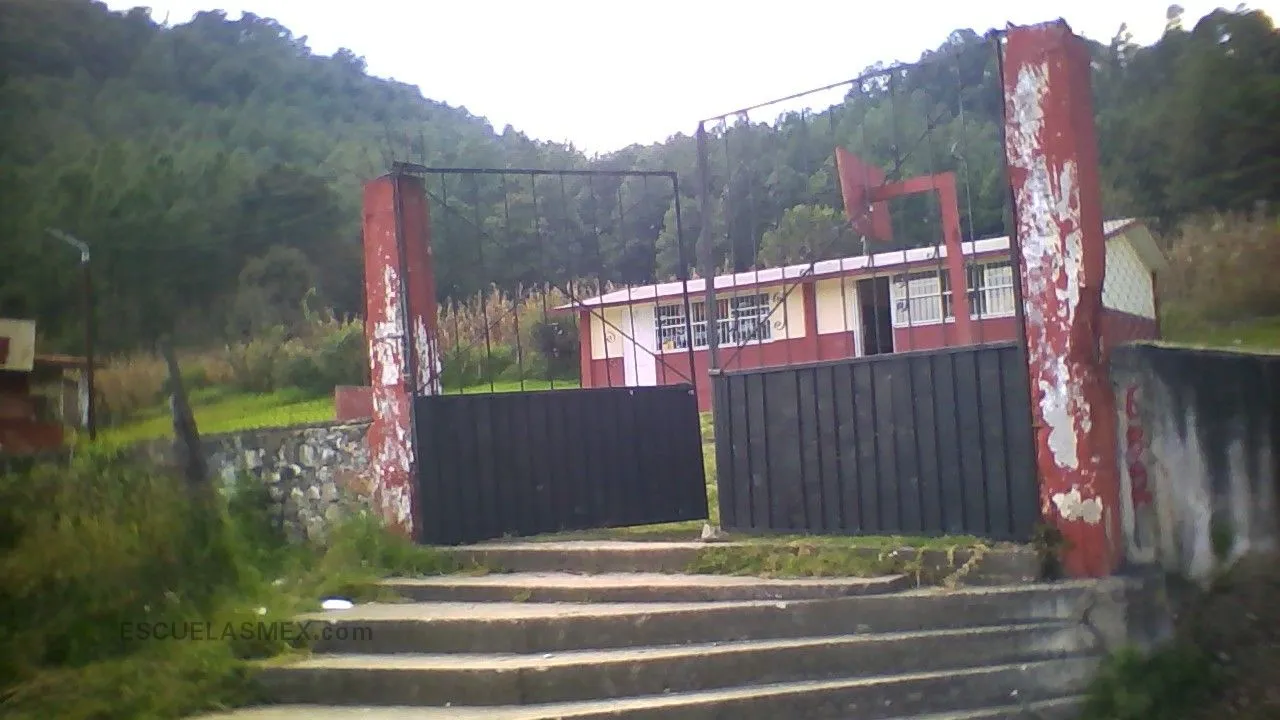 Ignacio Zaragoza Entrada