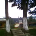 Justo Sierra