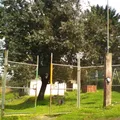 Guadalupe C de Zavaleta