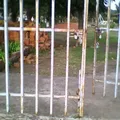Lazaro Cardenas