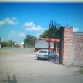 Antonio Flores